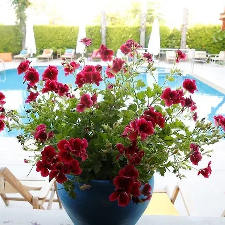 Corner Boutique 3* 比特兹