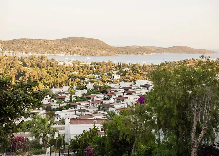 Hotel Corner Boutique