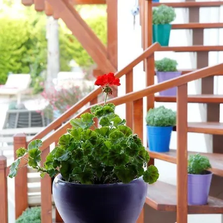 Corner Boutique Otel 3*