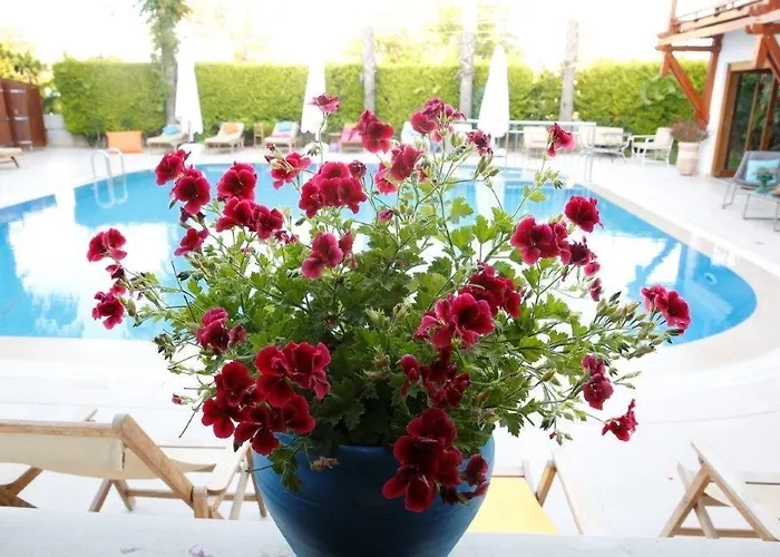 Corner Boutique 3* Bitez