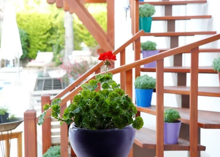 Corner Boutique Hotell 3*